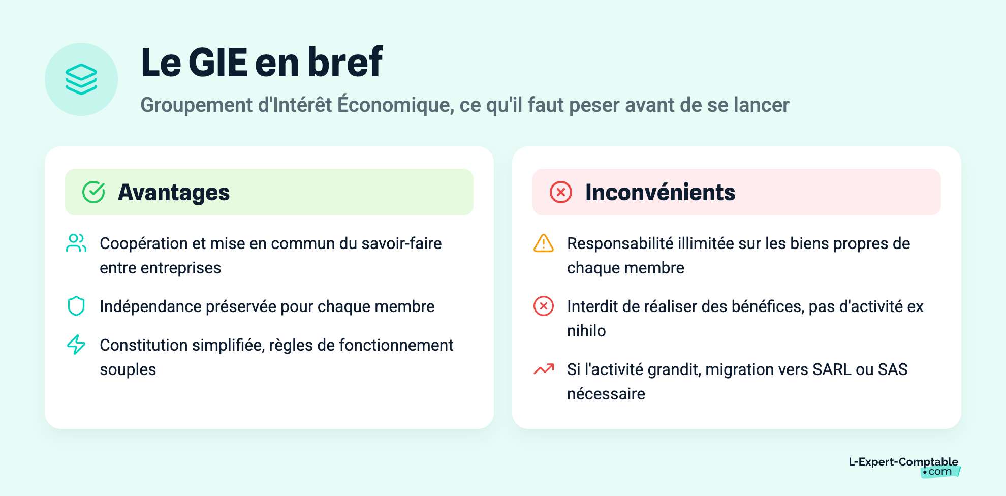 Le GIE en bref